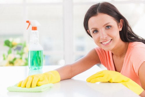 Secure Cleaners Lambeth payment page with protected online checkout