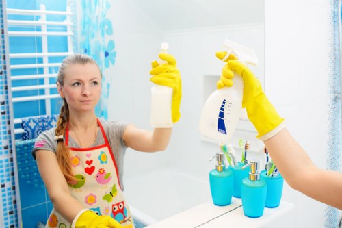 Professional cleaners in Lambeth providing detailed home and office cleaning