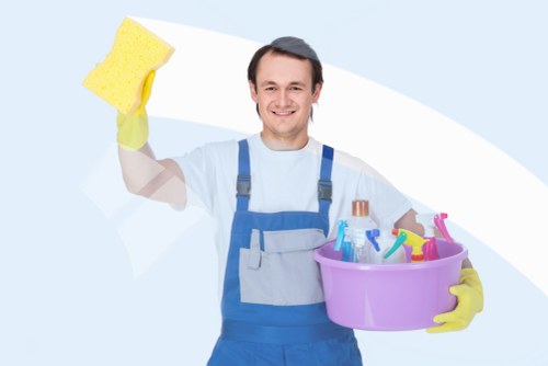 Professional window cleaning service across Lambeth properties
