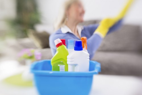 Enzyme treatment for pet stain removal in Lambeth