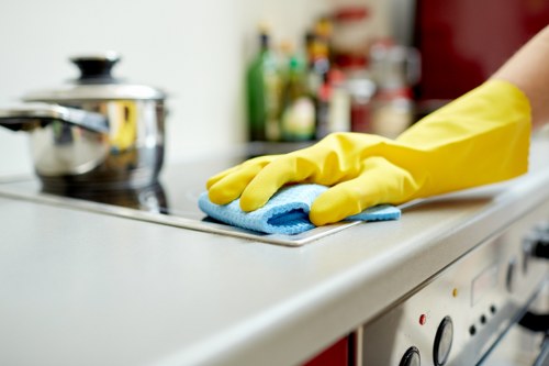 Professional home cleaning supplies and organized domestic cleaning tasks