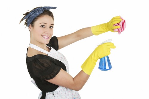 End of tenancy cleaning in a Lambeth apartment