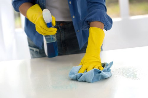 Local cleaner tackling dust and build-up in a Lambeth flat