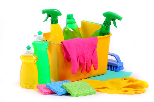 Local domestic cleaner working in a Lambeth kitchen and living area